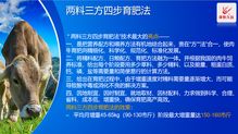 澤牧久遠(yuǎn)亮相2019武漢畜博會 以技術(shù)轉(zhuǎn)讓引領(lǐng)草食動物營養(yǎng)新風(fēng)潮